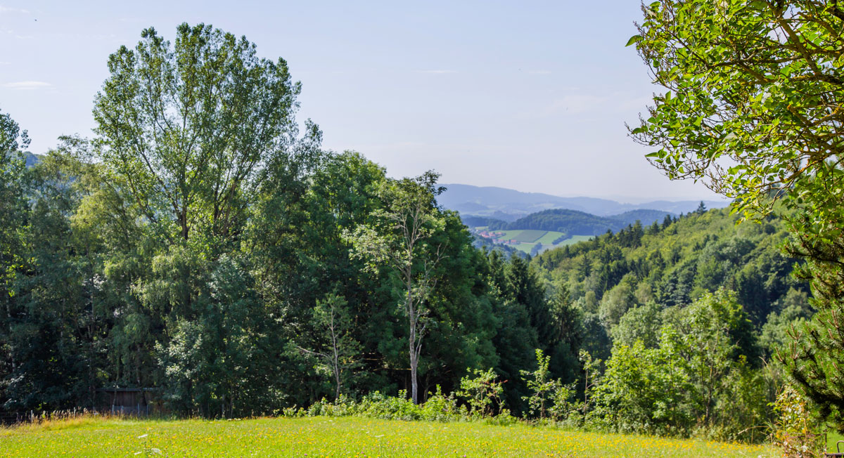 Urlaub am Nationalpark Bayerischer Wald